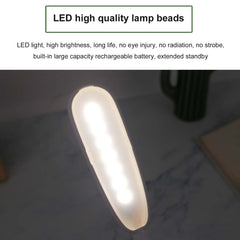 Cute Desk Lamp 